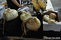 VBS_2862 - Cheese 2023 - Bra